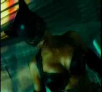 Catwoman Halle Berry vs Sharon Stone