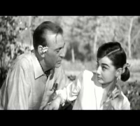 Love in the Afternoon (1957) - Gary Cooper - Audrey Hepburn