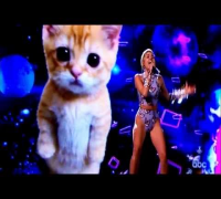 Miley Cyrus - Wrecking Ball AMA Performance 2013 (Full Live Performance) - Cat Theme